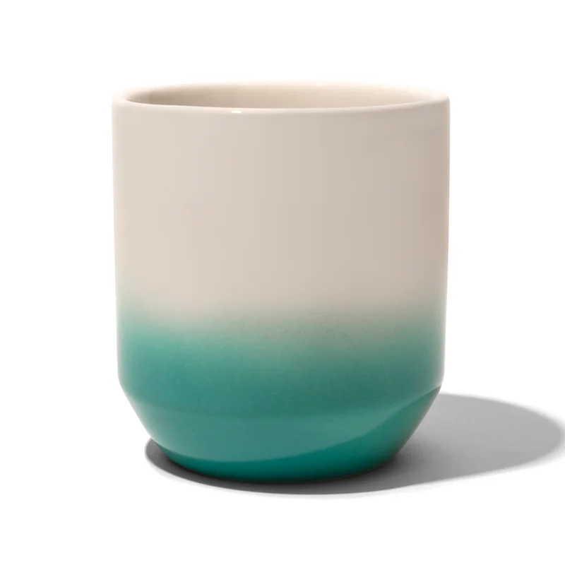davidstea1413777