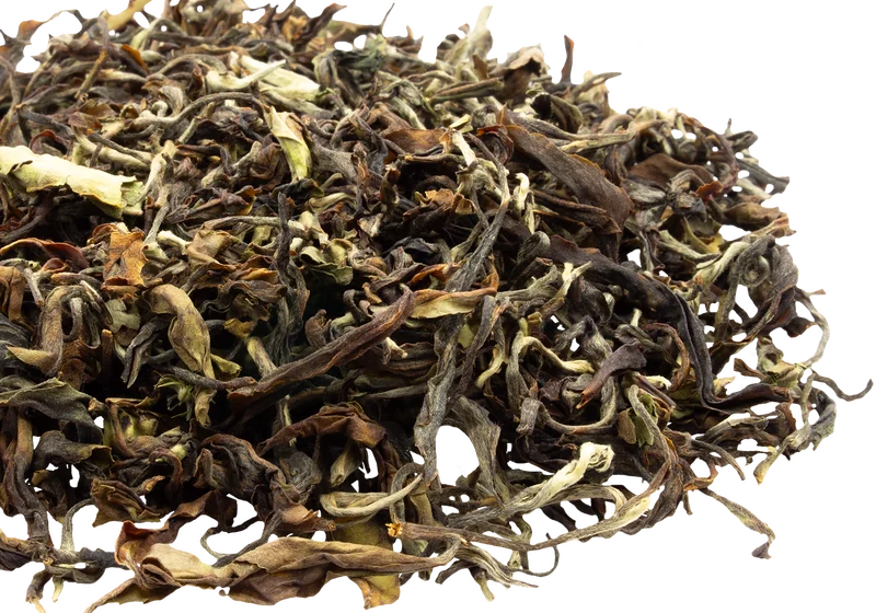 nmteaco-1408714