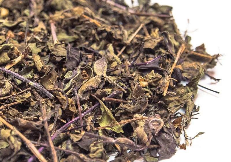 nmteaco-1408767