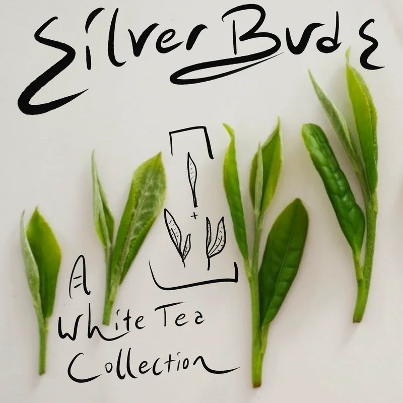 onerivertea1399268
