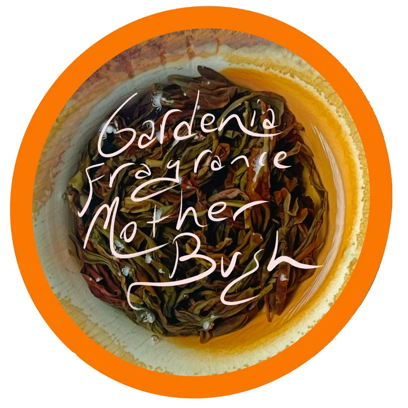 onerivertea1416037