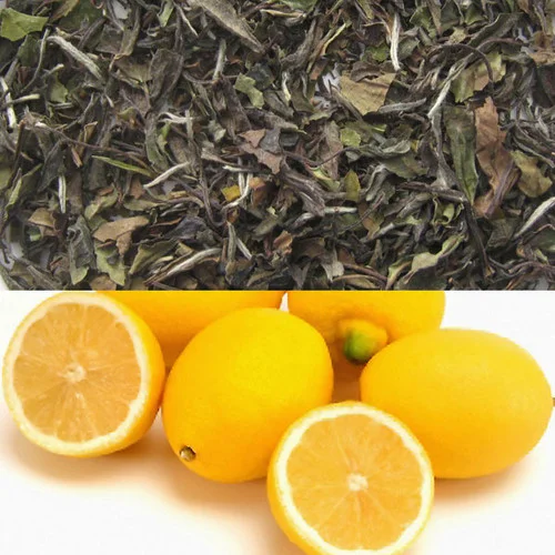 teahaven-1408889