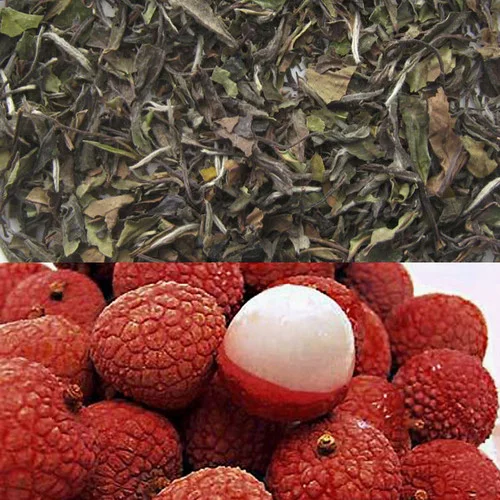 teahaven-1412593