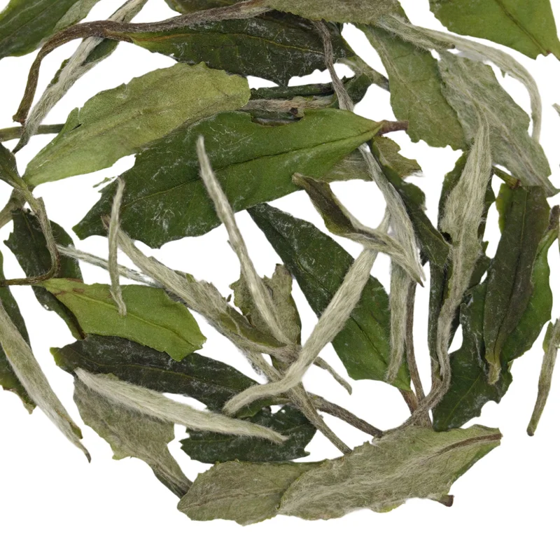 teasource1403164