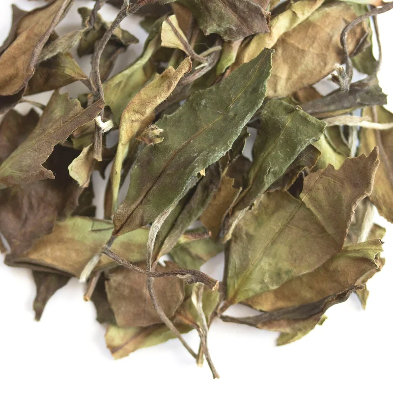 teasource1403412
