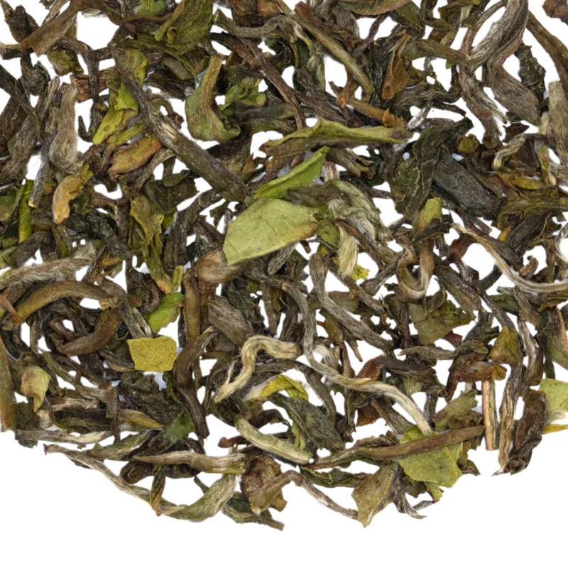 teasource1404533