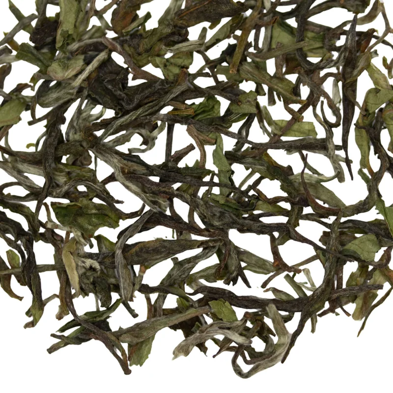 teasource1404976