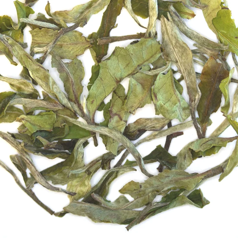 teasource1405404