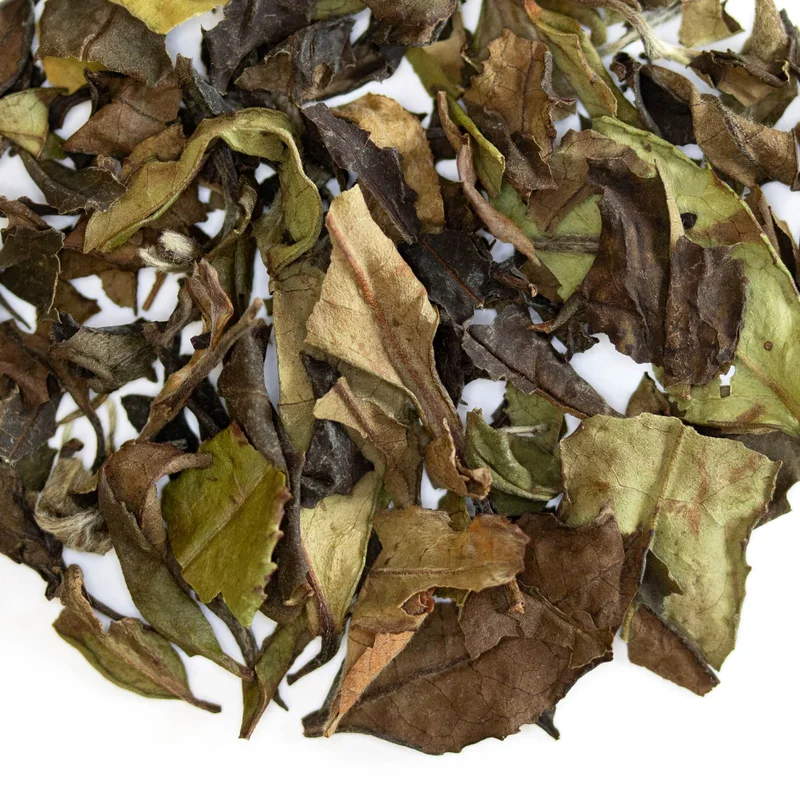 teasource1405712