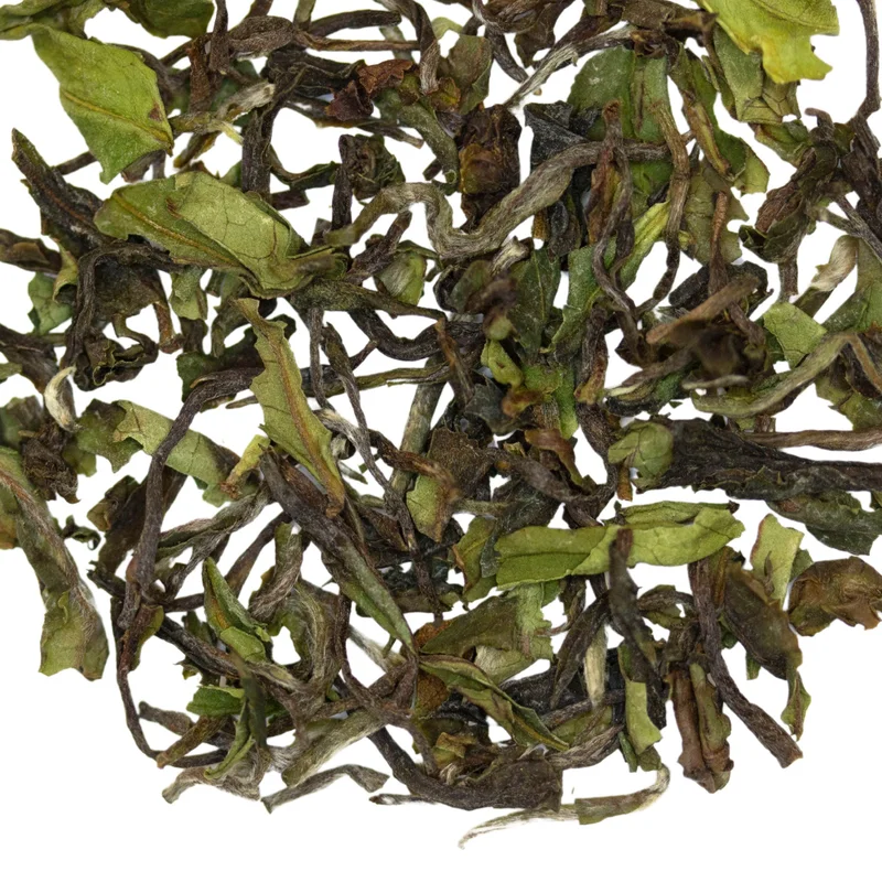 teasource1406281