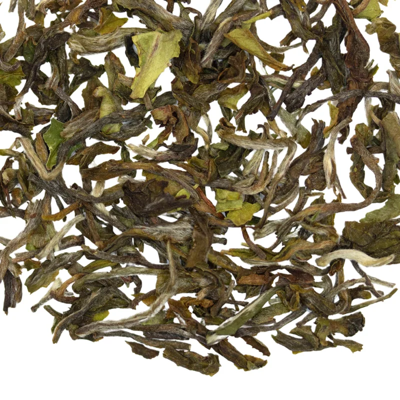 teasource1406305