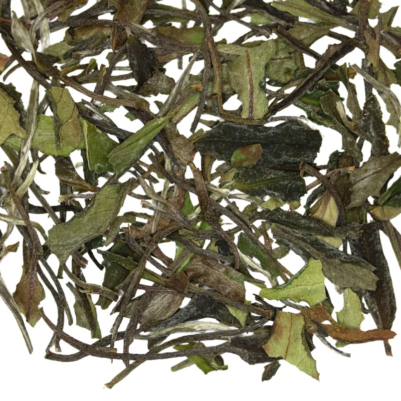 teasource1408494