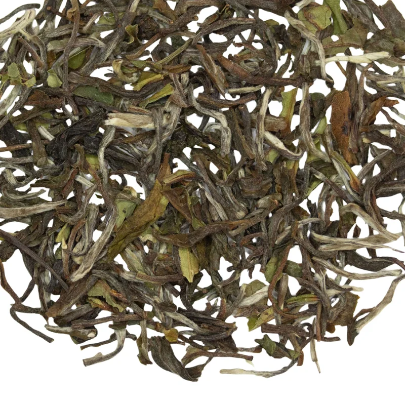 teasource1411848