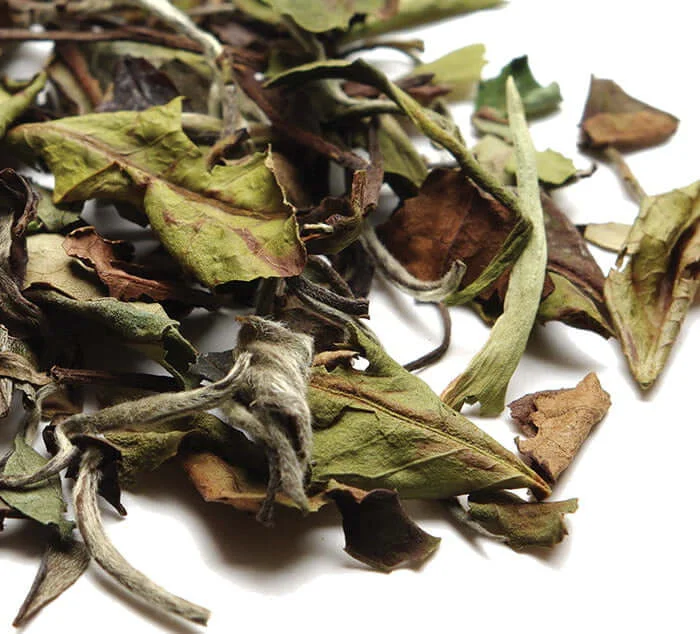 theteaspot1398287