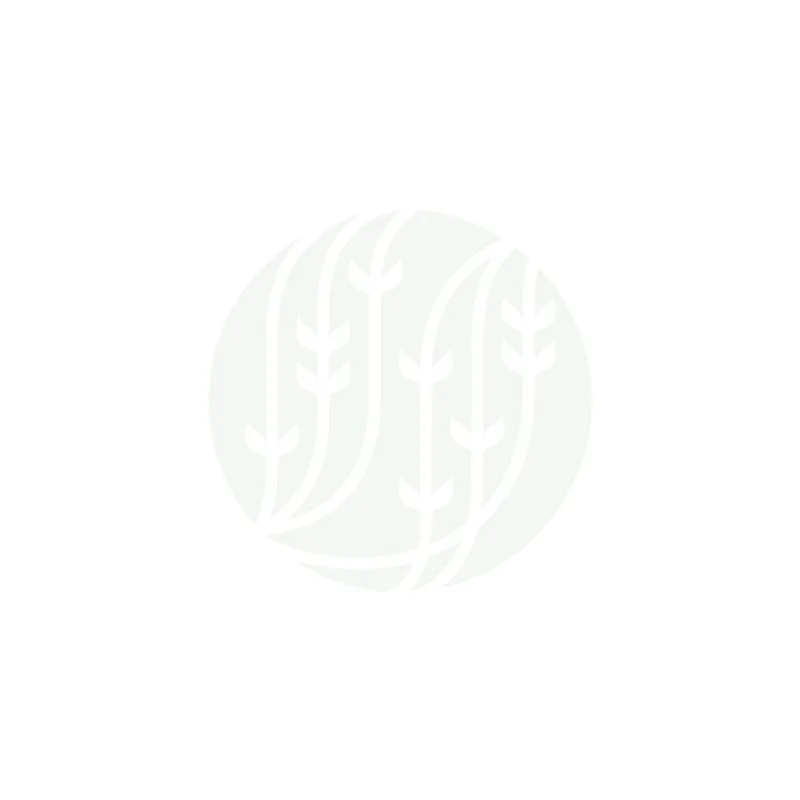 us.palaisdesthes-1410293
