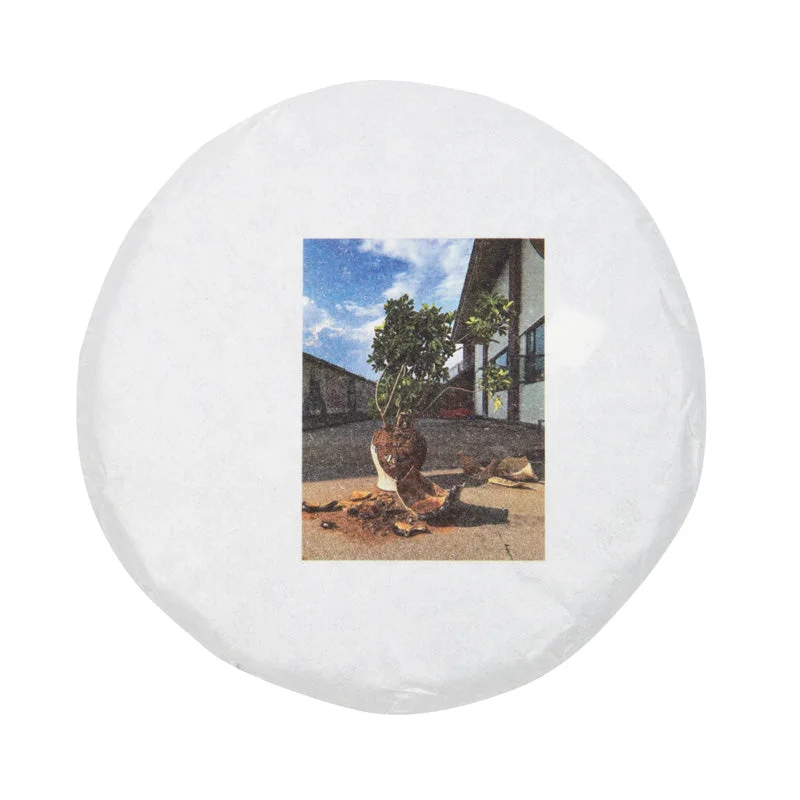 white2tea1413782