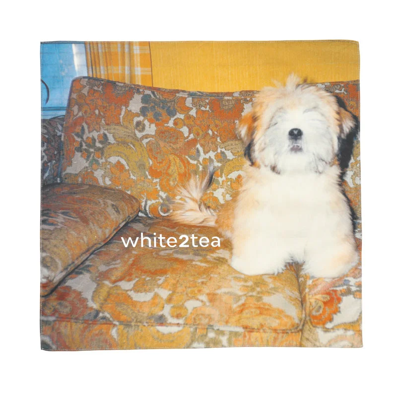 white2tea1414565