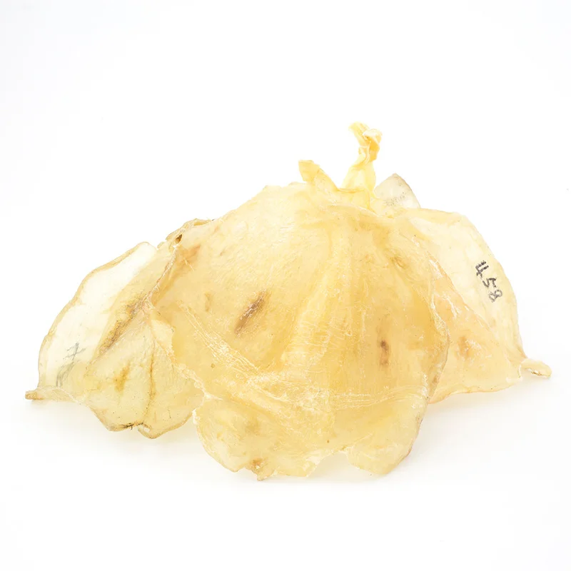 winghopfung1400362