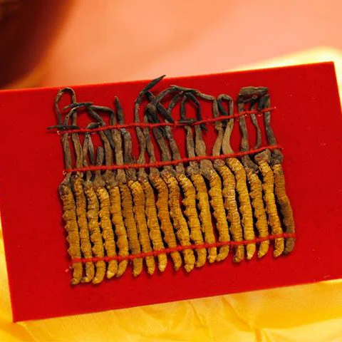 winghopfung1402179