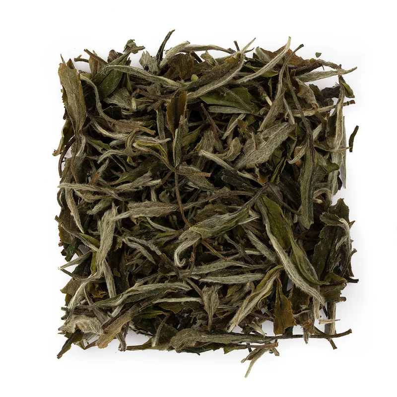 winghopfung1414930