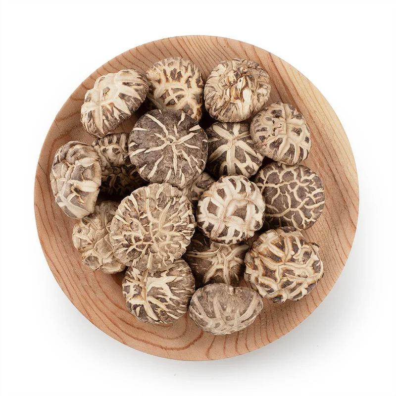 winghopfung1415753